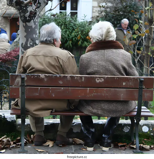 Elderly Couple Sitting on a Bench in the Park