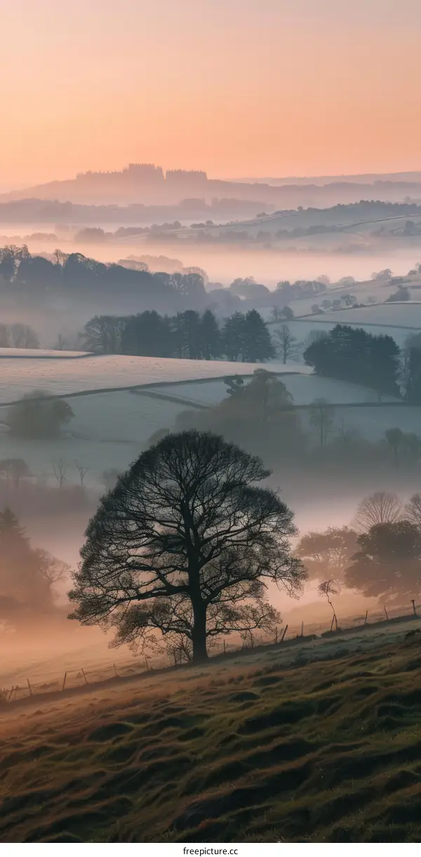 Misty Sunrise over Serene Oak Tree in Rural England