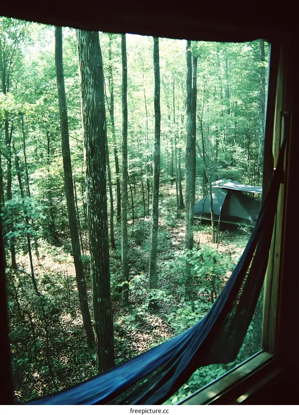 A Window View of a Forest with a Tent and Hammock