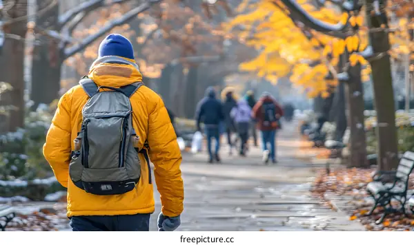 Man Walking in Autumn Park with Yellow Leaves