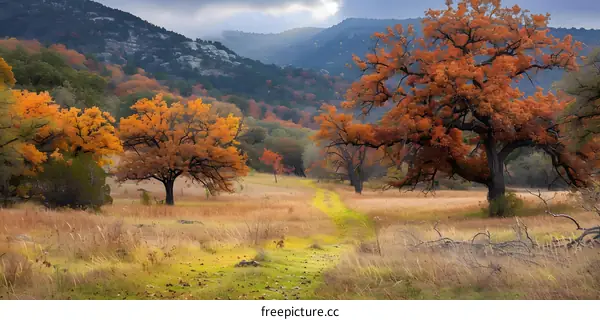 Autumn Landscape with Path Through Golden Grass