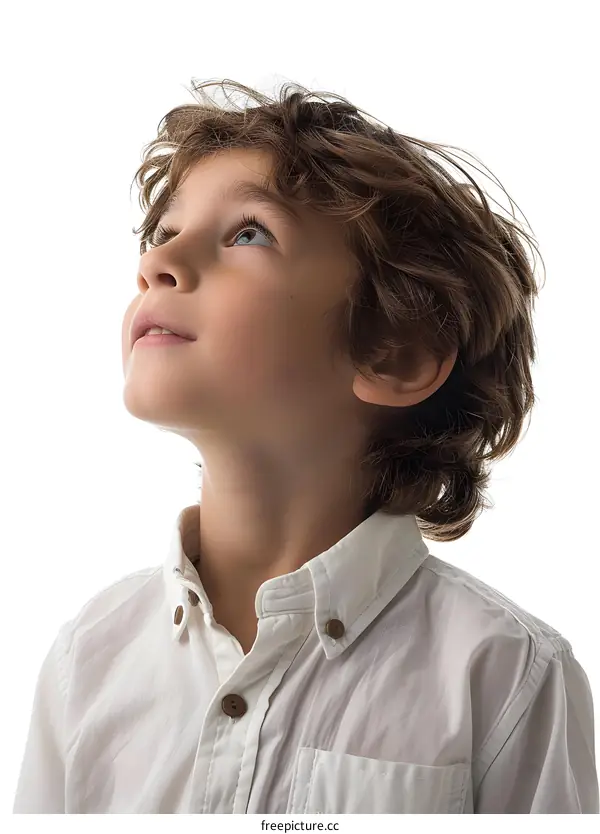 Portrait of a Young Boy Looking Up