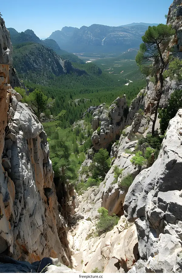 Rocky Mountain Valley Vista