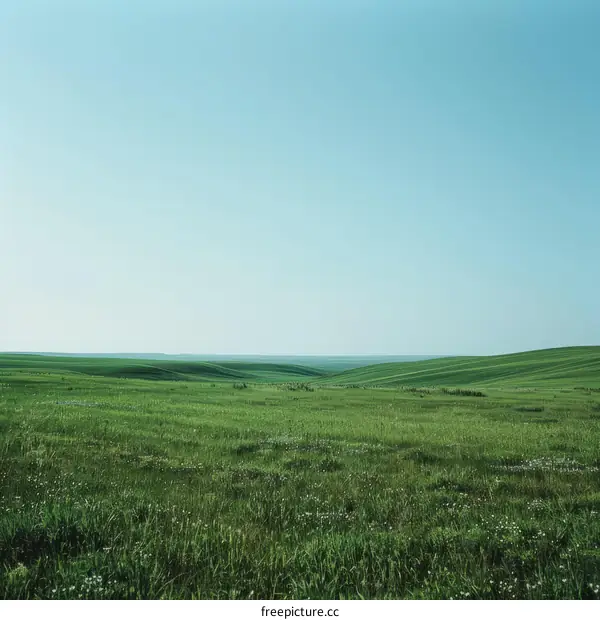 Green rolling hills under blue sky