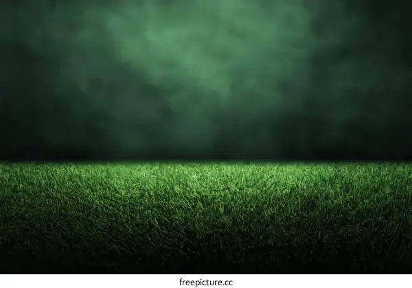 Green Grass Field Background Image