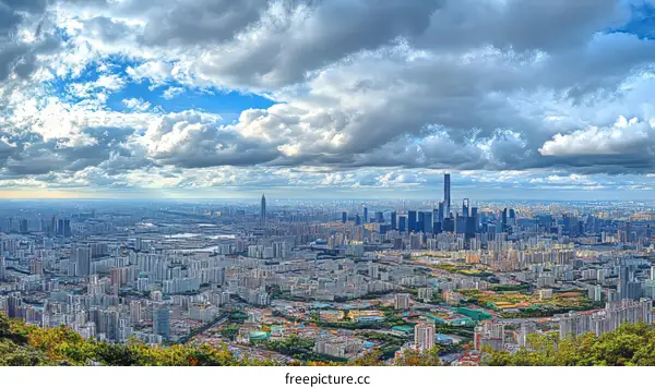 Aerial View of a Modern City Skyline