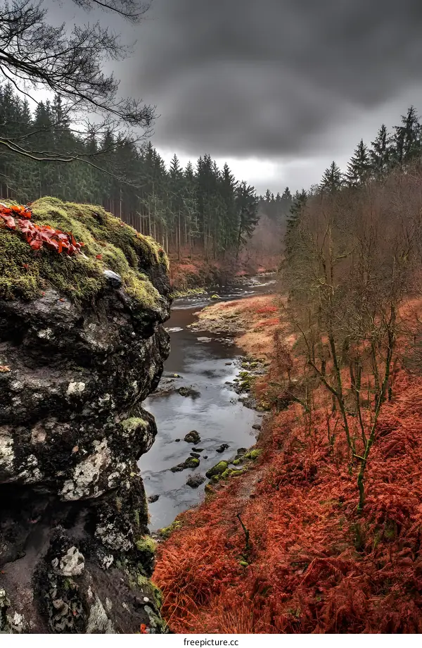 River Flowing Through Forest Under Cloudy Sky
