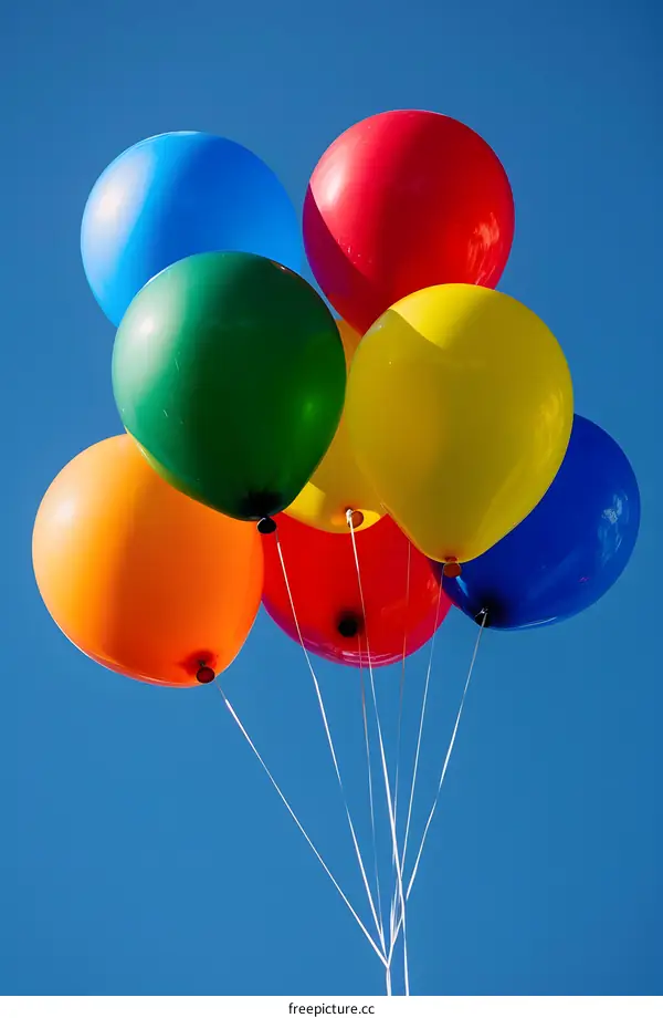 Colorful Balloons Floating in the Sky