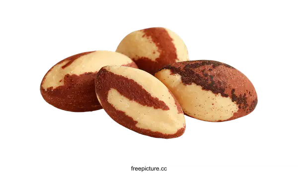 [Transparent Background PNG]Closeup of Three Brazil Nuts on White Background