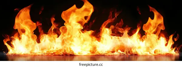 Fiery Flames Against a Dark Background