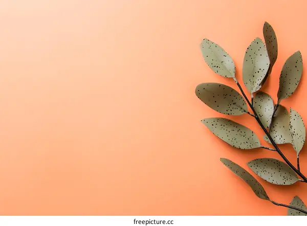 Green Leaves on Peach Background