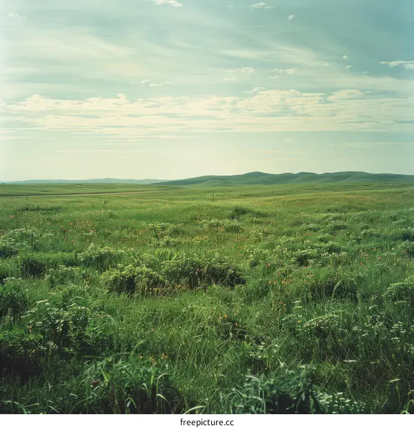 Green rolling hills of the Great Plains of North America