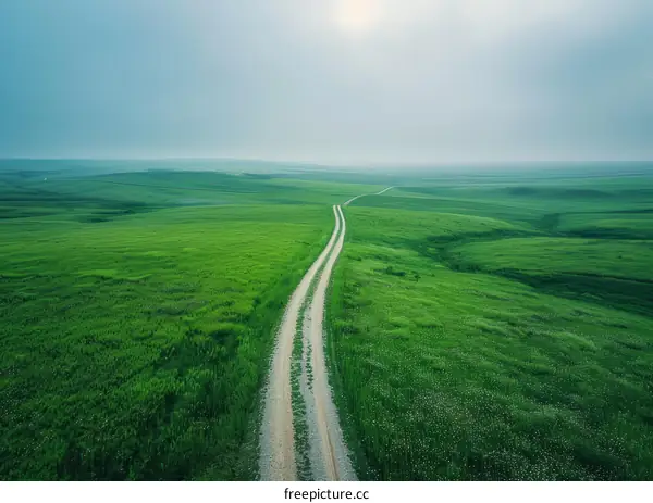 A dirt road winds through a lush green field