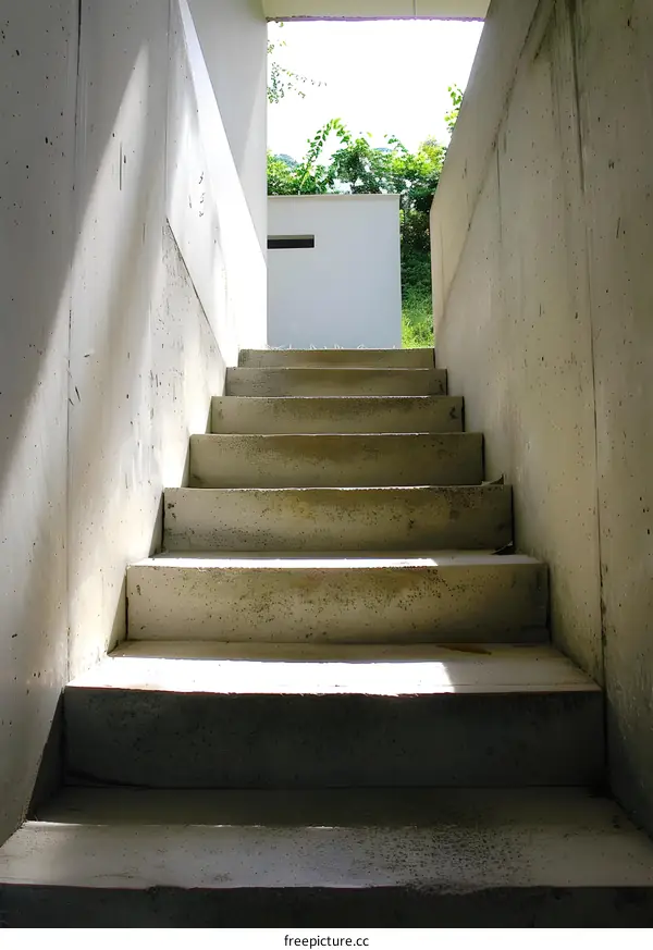 Concrete Staircase Leading to a Bright Outdoor Area