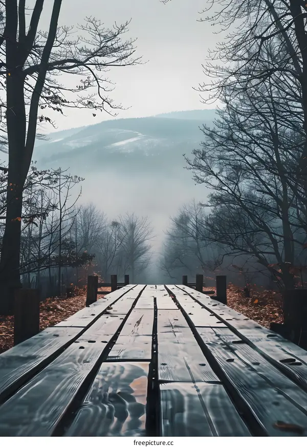 Wooden Bridge Leading Through Foggy Forest