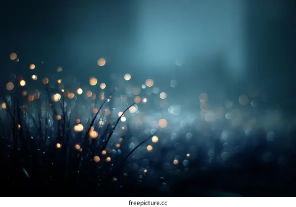 Night Grass Sparkle Abstract Background