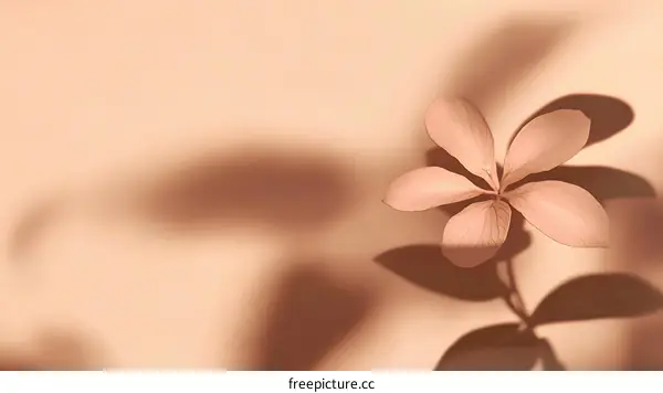 Soft Pastel Floral Shadow Play