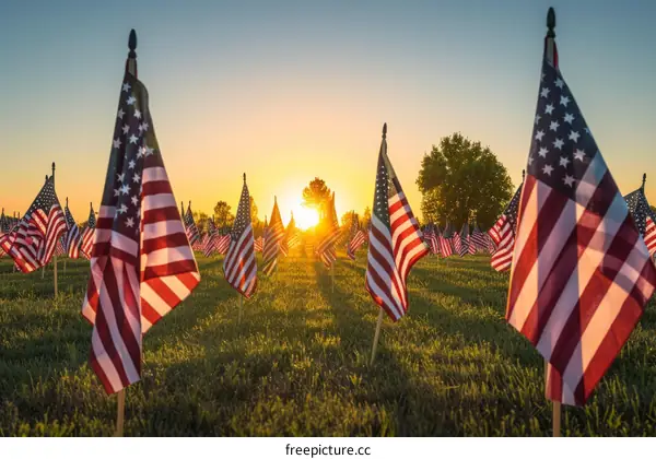 American Flags at Sunset in a Field
