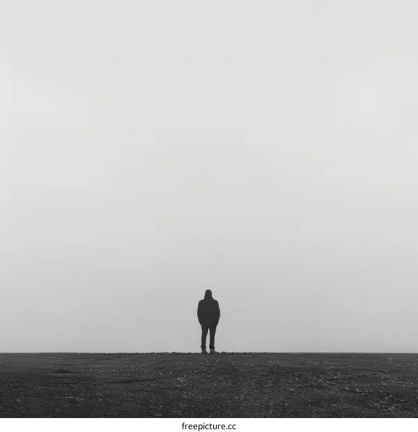 Man standing alone in a foggy landscape