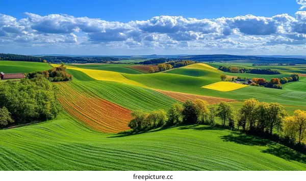 Panoramic View of Colorful Agricultural Fields