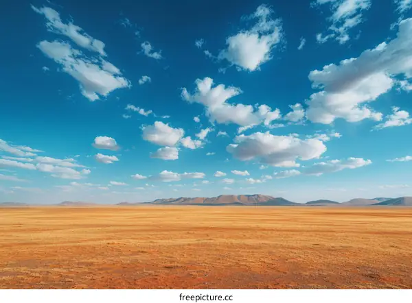 Vast Steppe Landscape with Distant Mountains