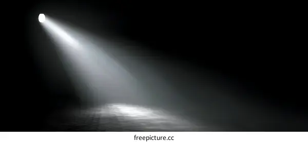 Spotlight Dramatic Lighting Effect