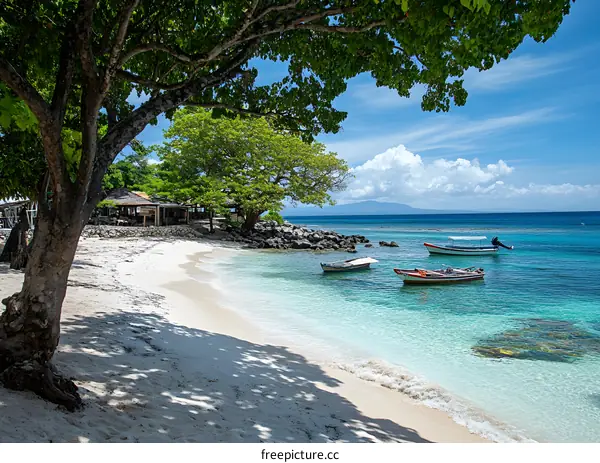 Tropical Beach with Boats and Clear Blue Water