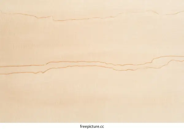 Close Up Light Beige Wood Texture Background