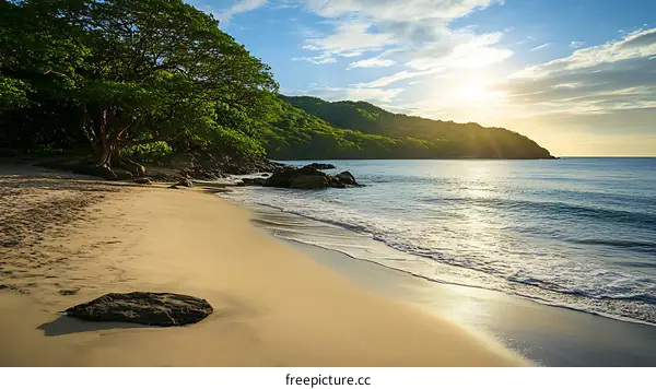 Golden Sand Beach with Trees and Rocky Coastline at Sunset