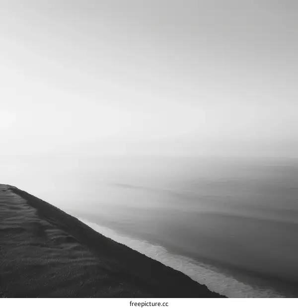 Black and White Photograph of a Beach in Nature