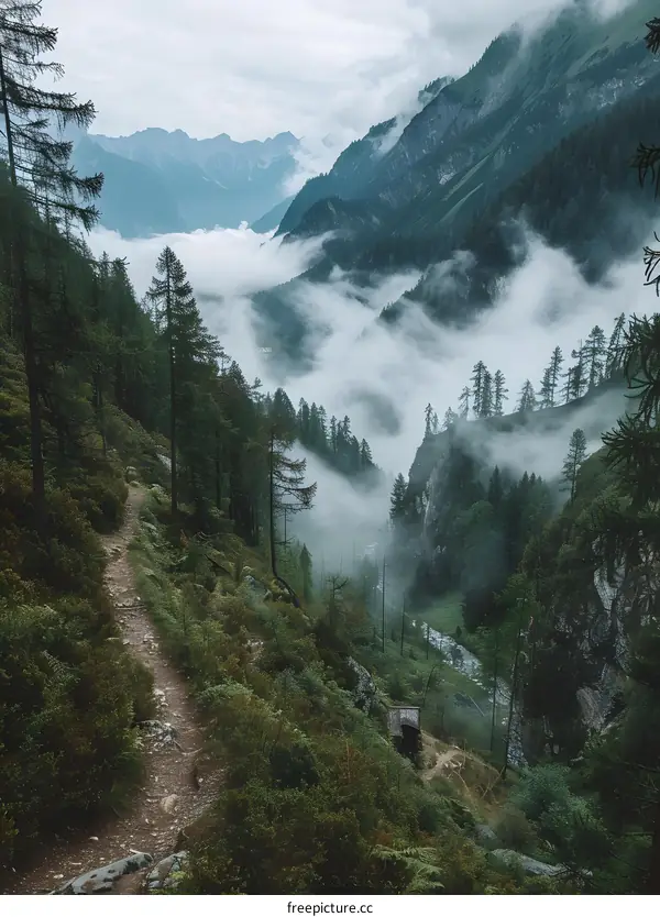 Mountain Hiking Trail With Foggy Valley