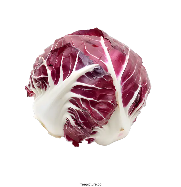 [Transparent Background PNG]Fresh Red Radicchio Isolated on White Background