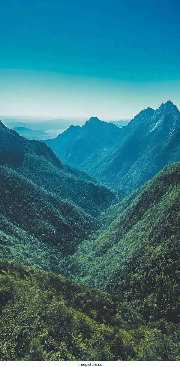 Aerial View of Mountains and Forests in Blue Sky