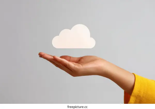 Hand Holding a Cloud Icon  Illustrative of Cloud Computing
