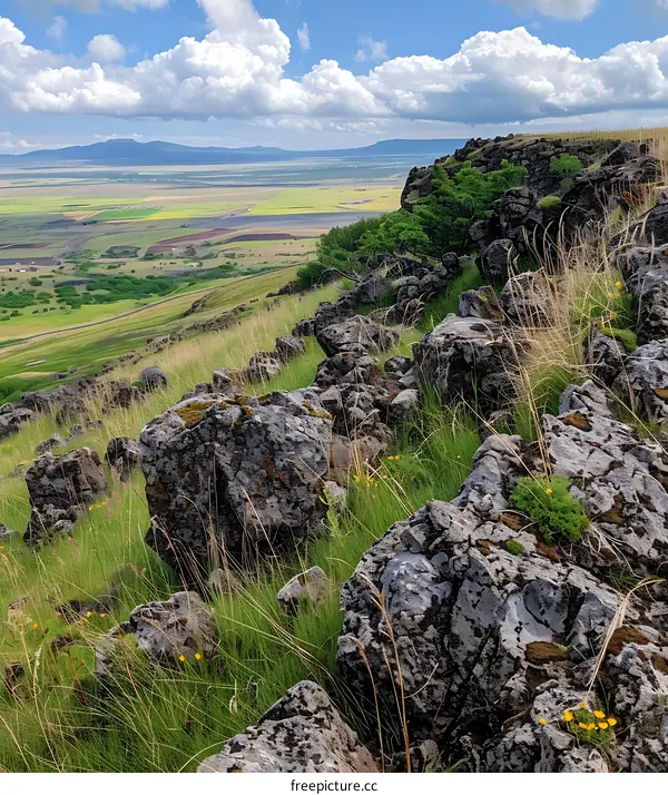 Rocky Hilltop Landscape With Grass And Flowers