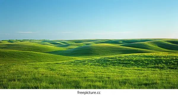 Green rolling hills under blue sky