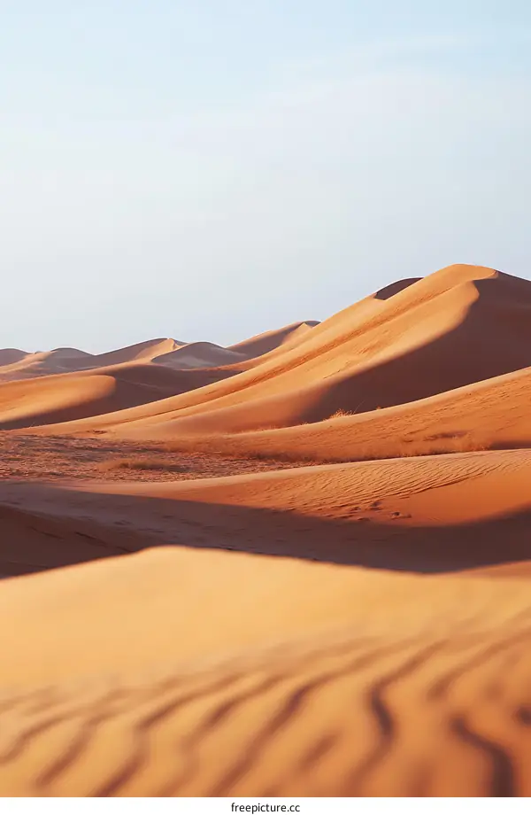 Desert Landscape with Rolling Sand Dunes