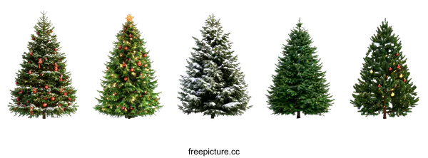 [Transparent Background PNG]Christmas Trees Collection with Ornaments