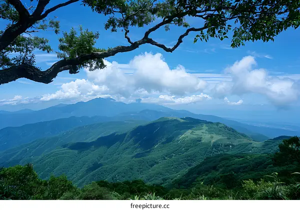 Mount Fuji from the summit of Mount Asama