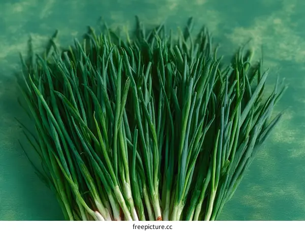 Fresh Green Onions Bunch on Teal Background
