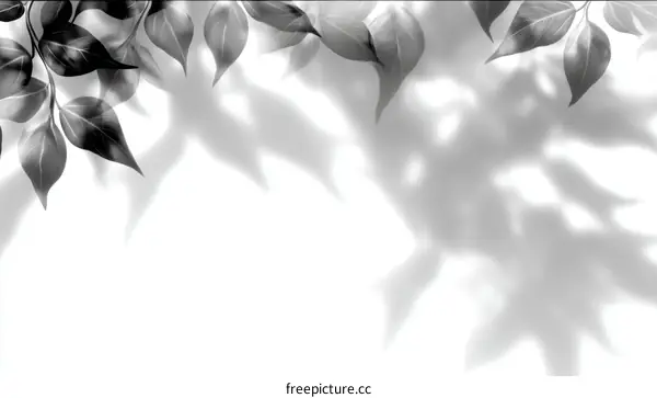 Leaf Shadows on White Background Artistic Illustration
