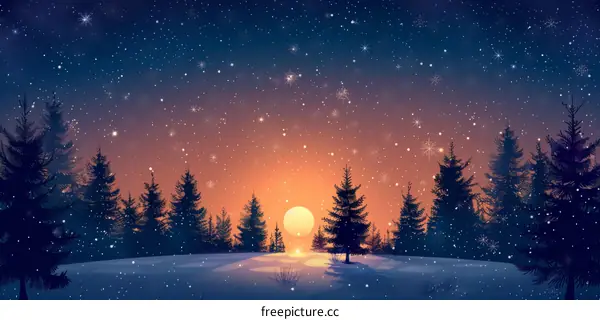 Enchanted Winter Forest Under a Starry Sky