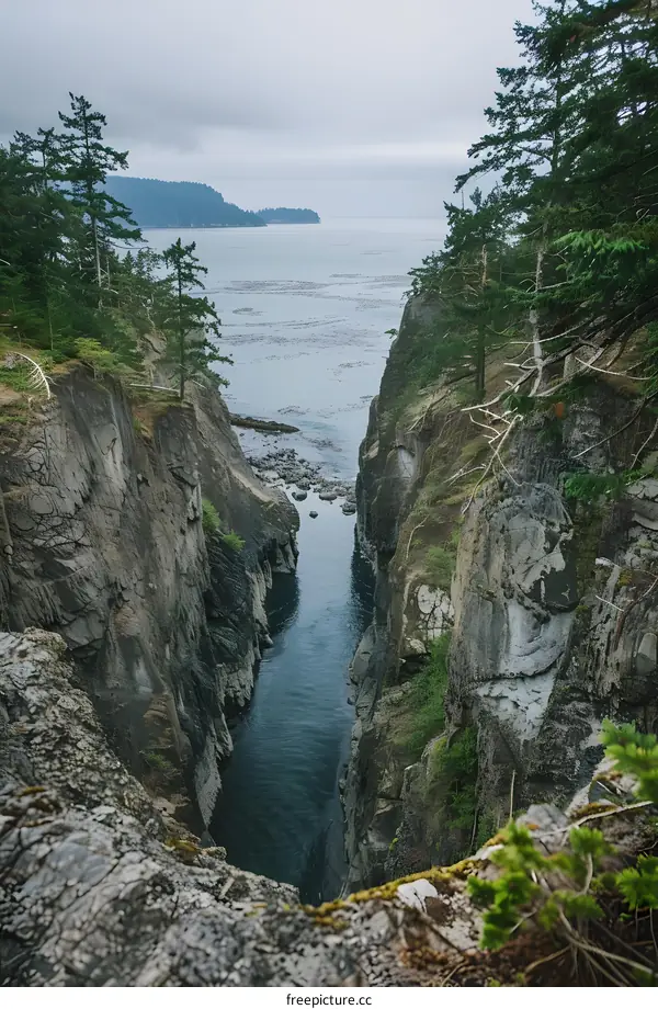 Sea Cliffs and Channel