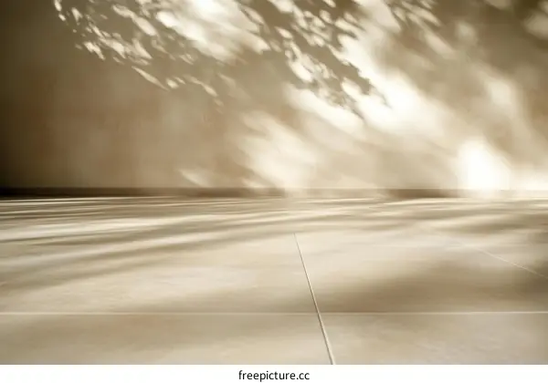 Empty Beige Floor with Shadowed Wall