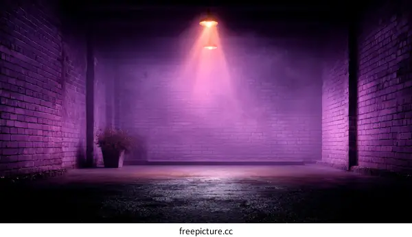Purple Alleyway Spotlight Scene