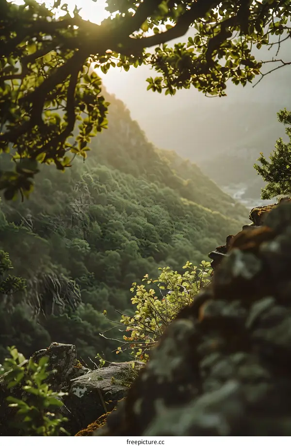 Green Mountain Range With Foliage In The Foreground