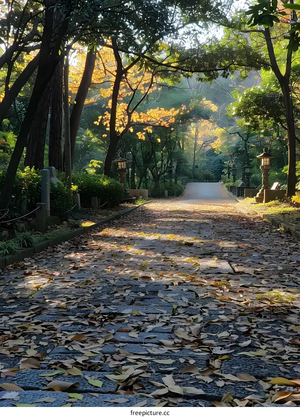 A stone path covered with fallen leaves in a forest