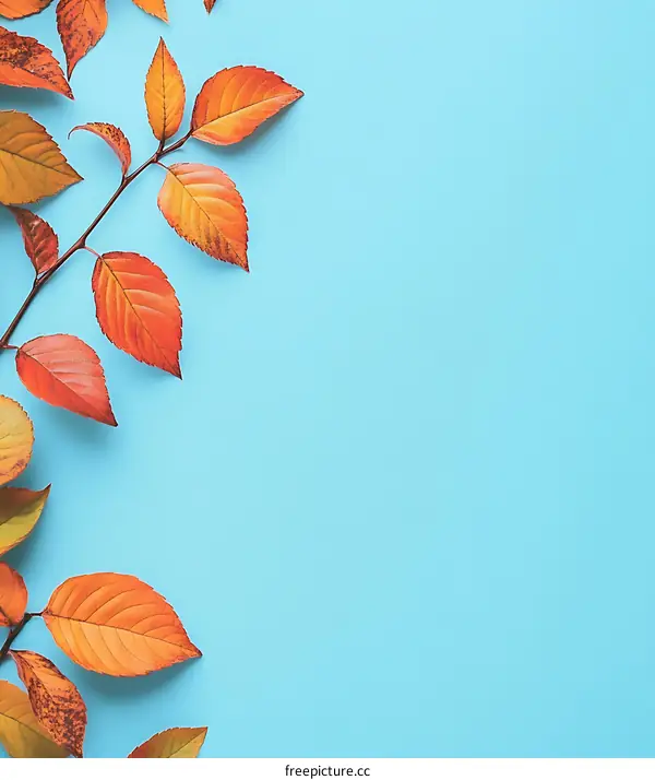 Autumn Leaves on Blue Background