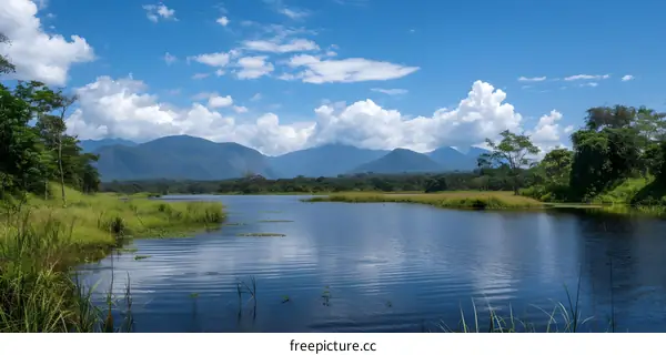 Tranquil Lake With Lush Green Forest And Mountains In The Background