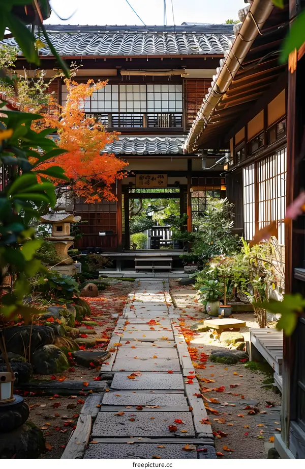 A beautiful courtyard with a stone path and a red maple tree